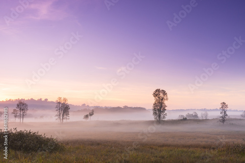 Colorful in the morning at Phu Khieo wildlife  Sanctuary, Chaiyaphom Province, Thailand. photo