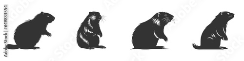 Beaver silhouette set. Vector illustration.
