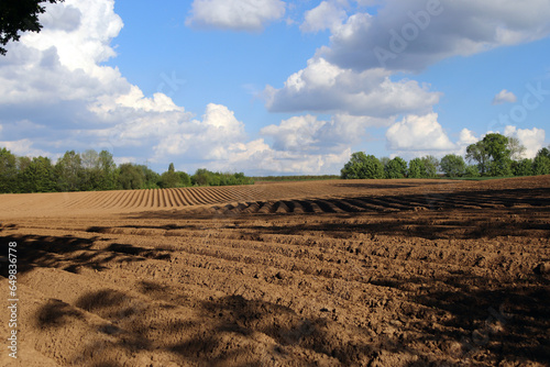 A plowed field in the sun