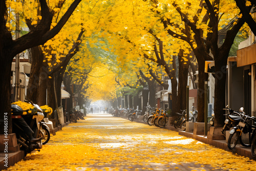 The Hanoi street with two rows of trees on both sides, yellow leaves, poetic © h3bs