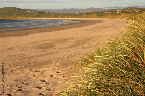 Fototapeta Naklejka Na Ścianę i Meble -  Beach Grass By Sand And Shore; Kindrum, County Donegal, Ireland