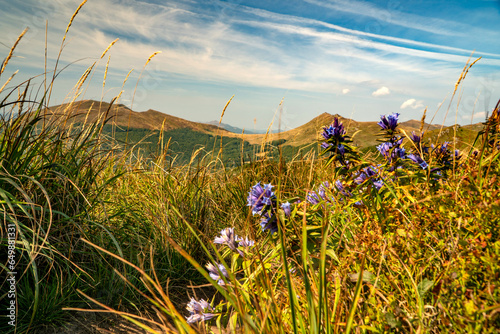 Fototapeta Naklejka Na Ścianę i Meble -  A mountain range in the Bieszczady Mountains in the area of Tarnica, Halicz and Rozsypaniec.