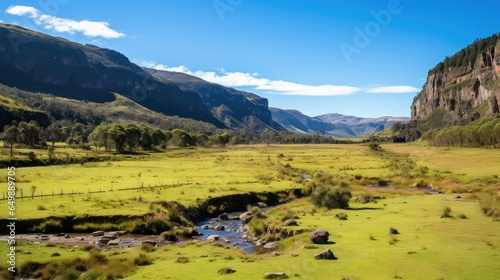 animal south american campos illustration outdoors america, wild tourism, grass landscape animal south american campos photo