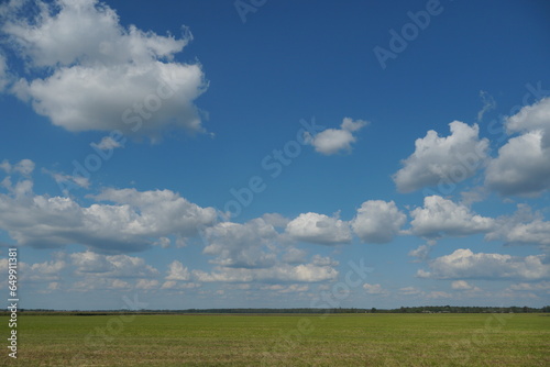A mown wheat field and fluffy clouds. The field after harvesting grain crops. Harvest season.
