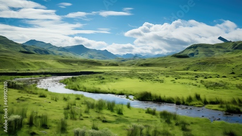 green south american campos illustration animal outdoors, america wild, tourism grass green south american campos photo