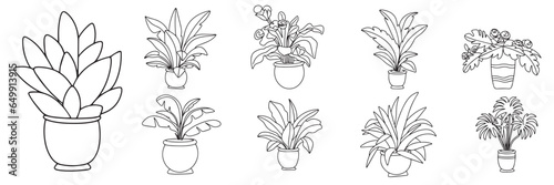 Collection of houseplants in doodle style isolated on white background. Set of houseplant interior decor in outline. Vector illustration. 