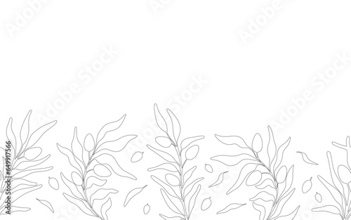 Outline with black silhouettes of meadow wild olive herbs and flowers. Set of silhouettes of botanical elements.