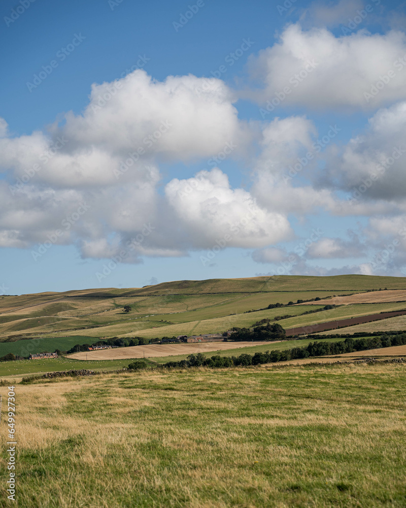 Scottish fields on a sunny day