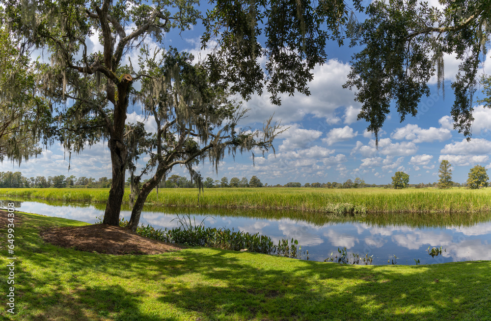 tidal marshlands and live oaks covered in Spanish moss in the Carolina Lowcountry tidal marshlands and live oaks covered in Spanish moss in the Carolina Lowcountry