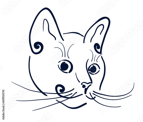 Doodle cat muzzle