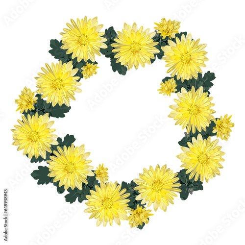 Wreath, frame of their yellow chrysanthemums on a white background 