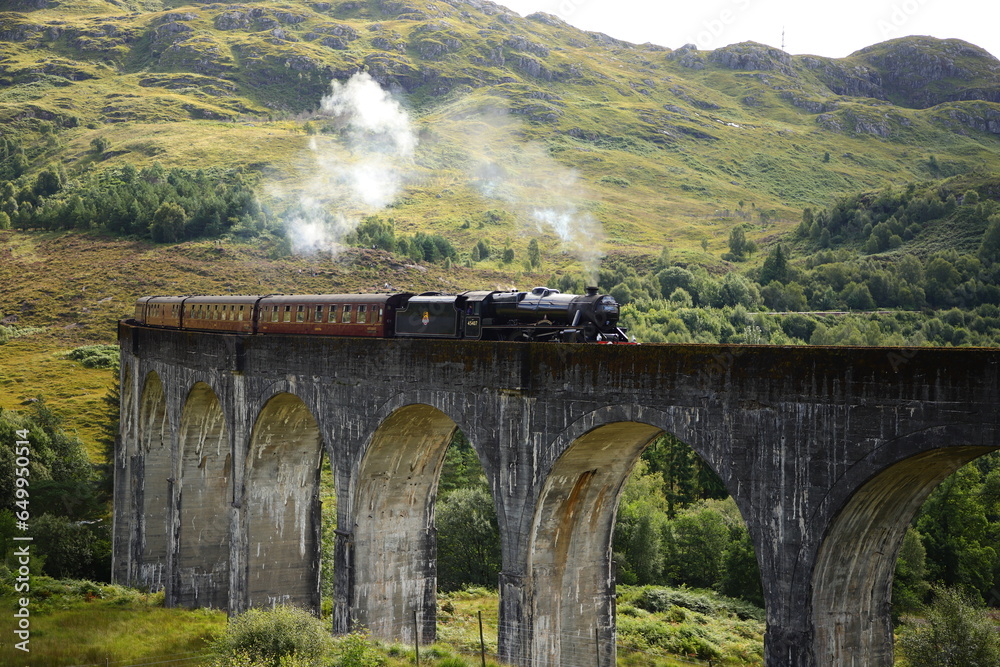 Naklejka premium Harry potter train