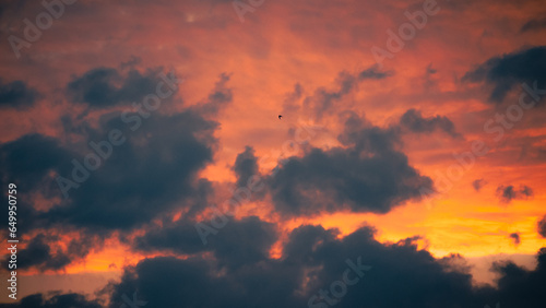 Single bird in flight against sky during orange sunrise