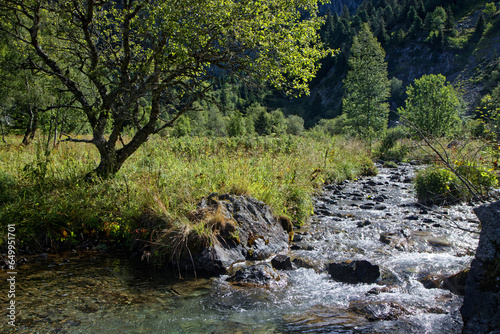 A creek in green mountain landscape photo