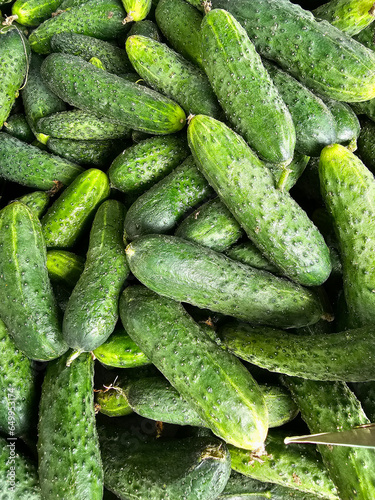 Green cucumbers displayed for sale at a vegetable stand in a local store, Lodz, Poland.