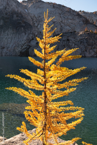Golden larch on Perfection Lake in Enchantment Lakes Wilderness in Washington