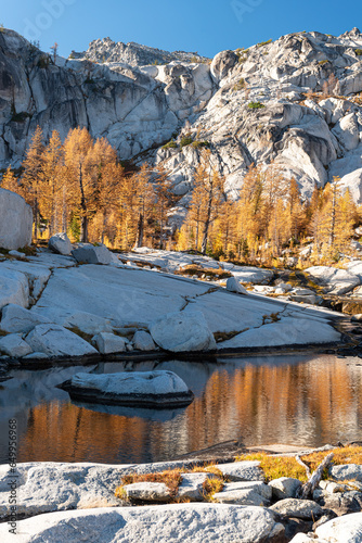 Golden larches on granite in Enchantment Lakes Wilderness in Washington