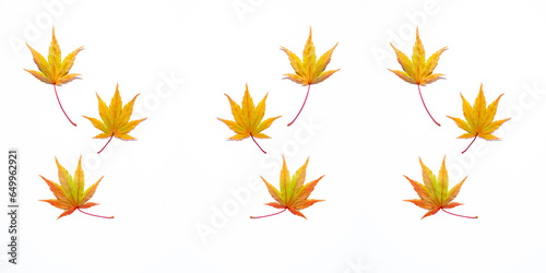 Pattern with colorful fall leaves isolated on a white background. Top view, copy space.