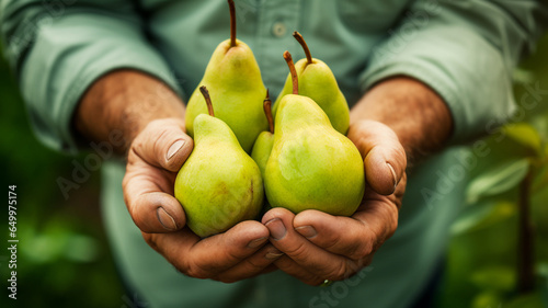 a closeup of a person holding a yellow pears in a wooden bowl on a blurry background