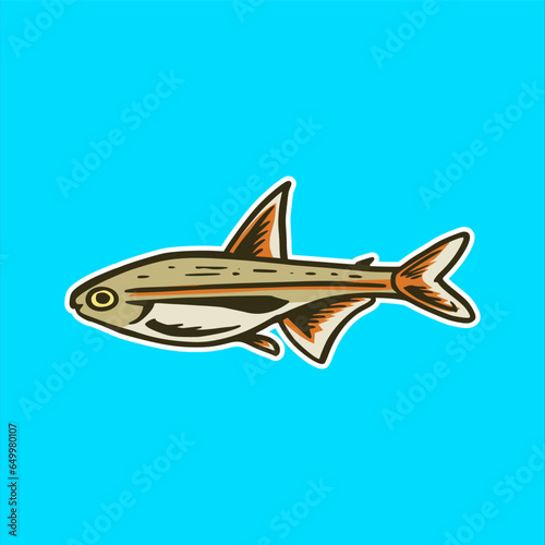 Cyprinids tetra fish aquascape
