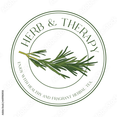 Hand drawn illustration of 'Rosemary' leaves, a type of herb. Rosemary is used as a perfume, medicinal, spice, and antibacterial agent.