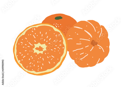 Hand drawn illustration of orange, sour and tangerine fruit. Tangerine is a winter seasonal fruit that is peeled and eaten.
