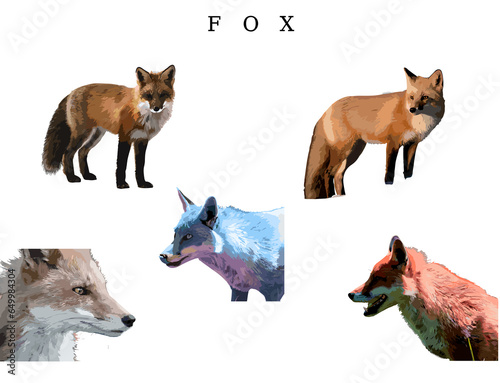 set of fox