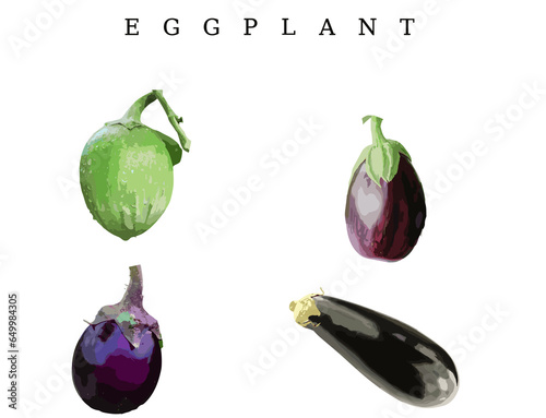 set of eggplants isolated on white