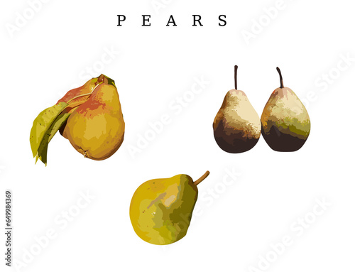 pears on a white