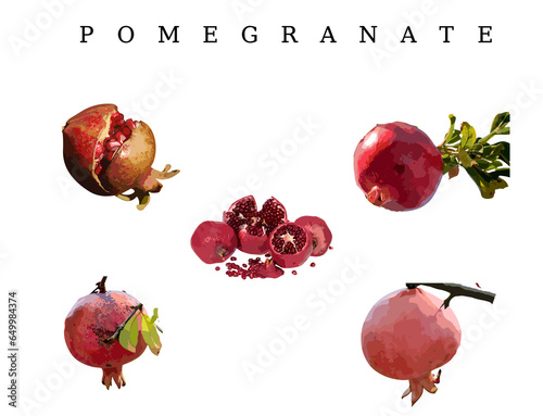 set of pomegranate