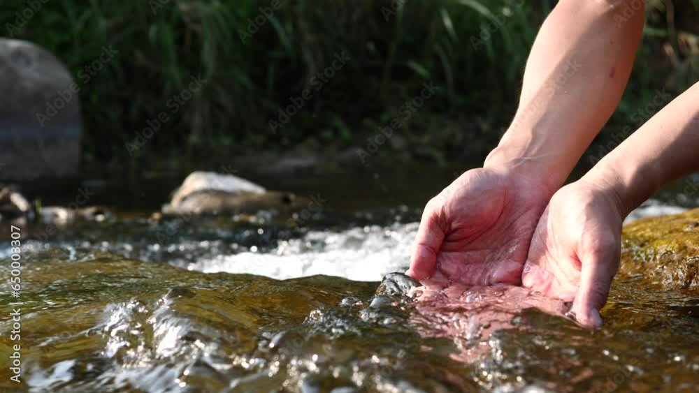 hands of a person