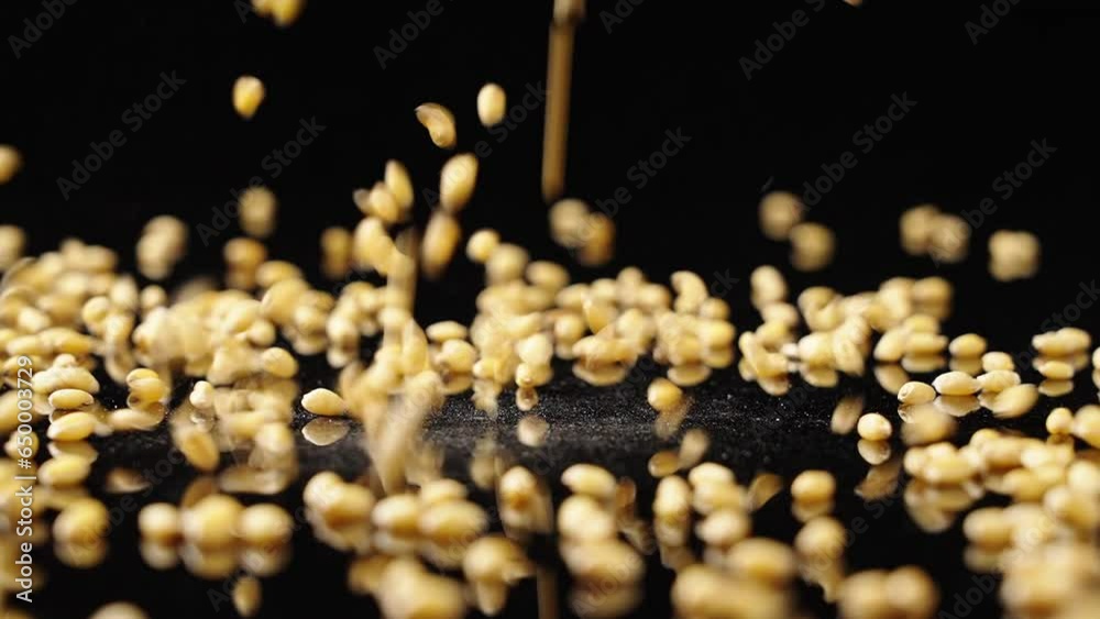 Falling of grain wheat in slow motion,on a black background. Falling of grain wheat in slow motion,on a black background.