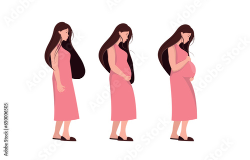 The main stages of pregnancy. Changes in a woman's body during pregnancy week by week. Set for infographics. Pregnancy Calendar. Flat stock vector illustration.