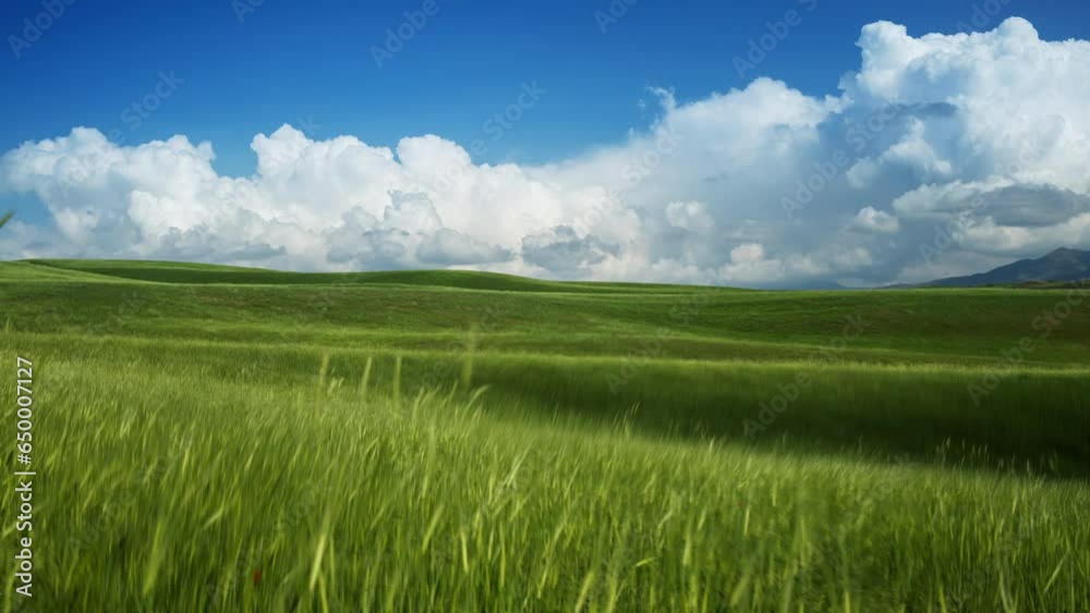 Timelapse field. Clear sunny day on green hilly field with grass. On horizon, white cumulus clouds passed close to ground into rain clouds. Cinematic. Nature weather blue sky. White clouds Timelapse field. Clear sunny day on green hilly field with grass. On horizon, white cumulus clouds passed close to ground into rain clouds. Cinematic. Nature weather blue sky. White clouds