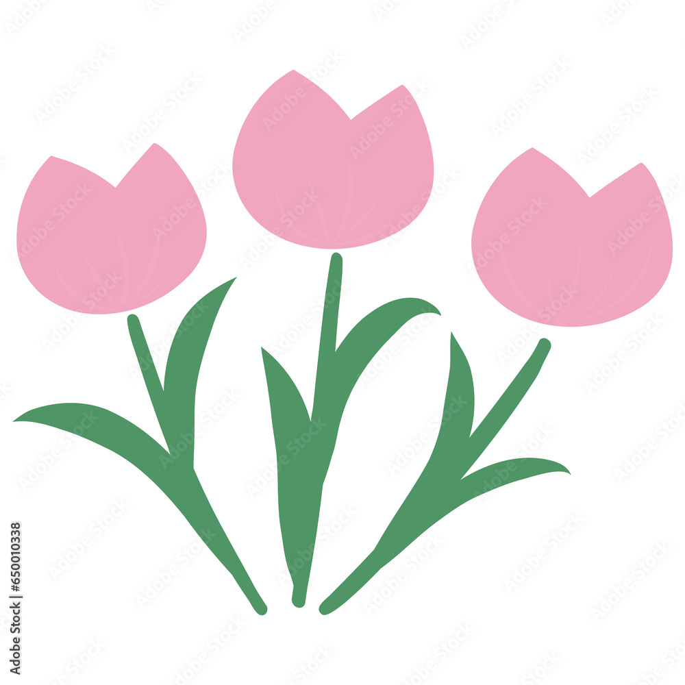 tulips tulips