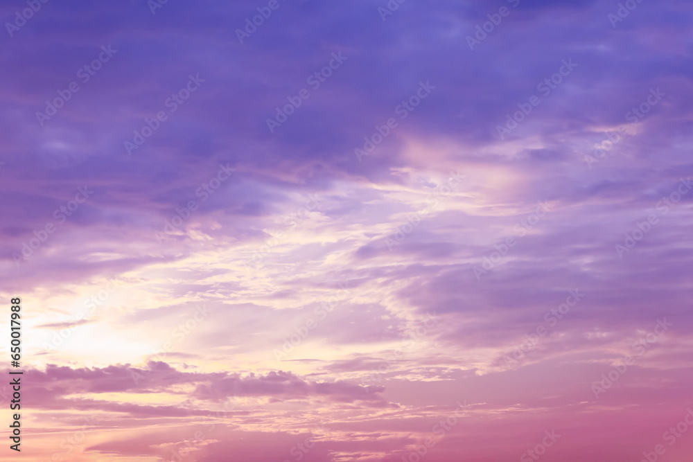 Dreamy purple sky twilight background and sunlight with copy space. Horizontal shape with space for design. Web banner.Website header.