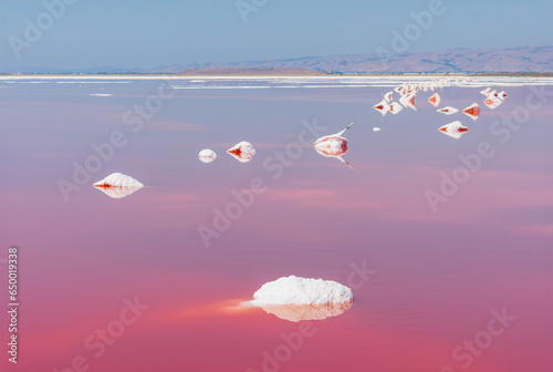Scenic view of vibrant pink and red salt ponds at Alviso Marina County Park, California photo