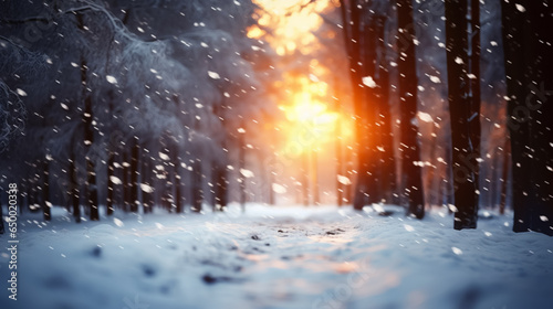 blurred background forest snow winter © ASHFAQ