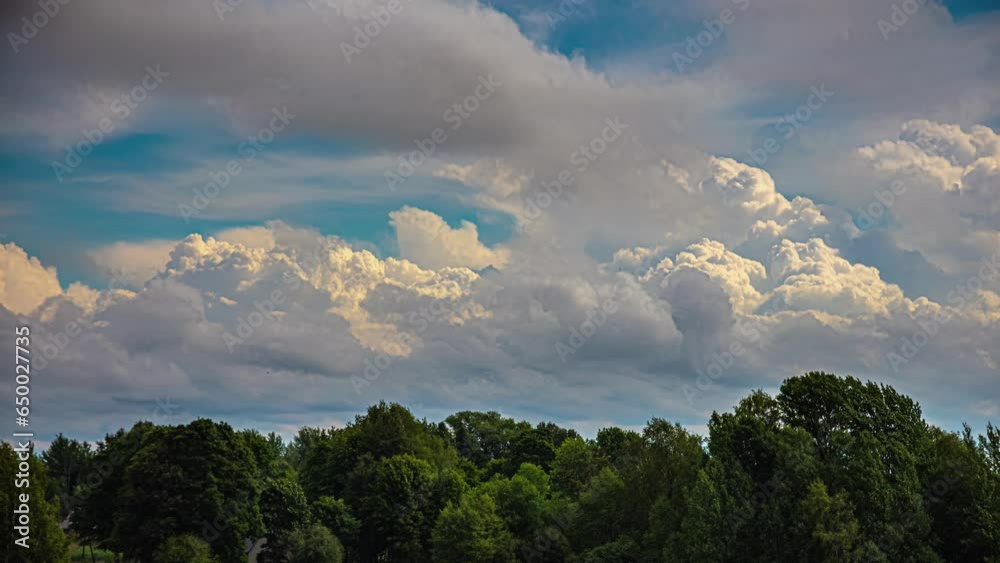 Cumulonimbus Clouds Develop and Drift Across the Treetops of a Forest with Blue Skies in a Motion Timelapse.