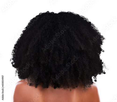 Woman, natural and hair with afro from back for care, cosmetics or results for growth. Model, curly and texture on isolated or a transparent png background for healthy treatment, wellness or grooming