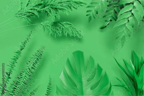 Collection of tropical leaves,foliage plant in Green color with space background