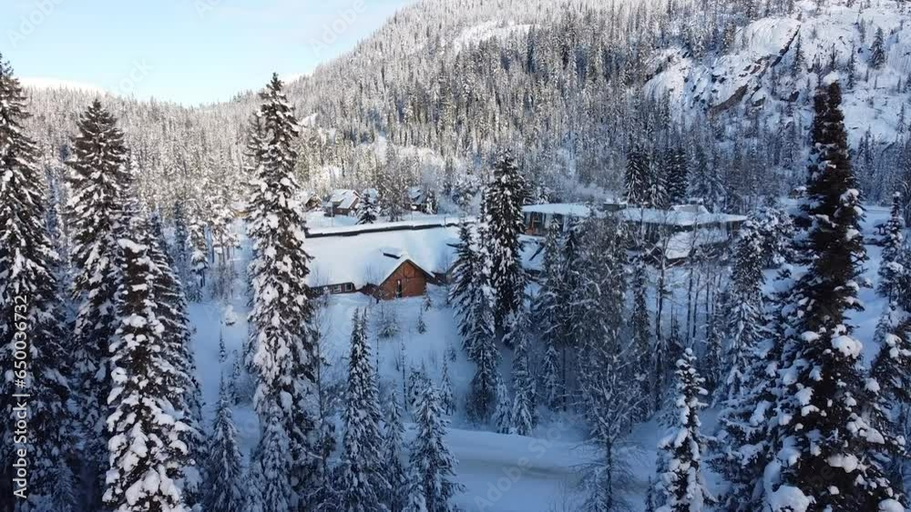Experience a serene drone flight through dense evergreen forests, guided by a swooping bird towards Manning Cabin area Experience a serene drone flight through dense evergreen forests, guided by a swooping bird towards Manning Cabin area