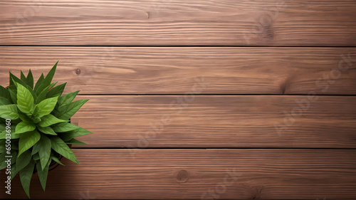 Wooden table background with green plant with free space