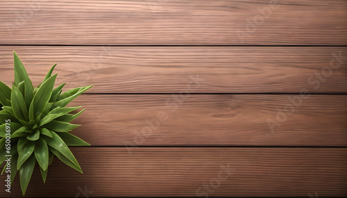 Wooden table background with green plant with free space