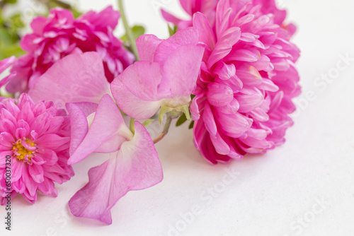 Fototapeta Naklejka Na Ścianę i Meble -  Pink flowers, aster, chrysanthemum on white background. Floral background copy space, high quality photo