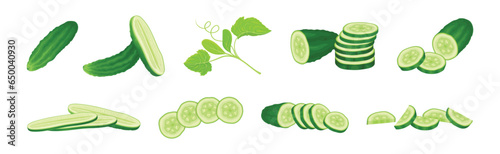 Ripe Cucumber Green Garden Vegetable Crop Vector Set