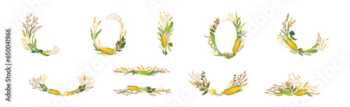 Corn Cob and Grain Agricultural Composition Vector Set