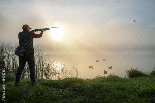 waterfowl hunter shooting into flying duck during duck hunting at sunrise. © Sergey