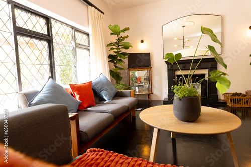 Modern, furnished and sunny living room with big windows and potted flowers