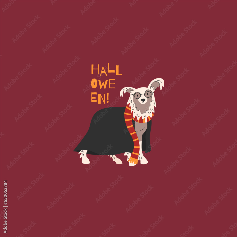 Fototapeta premium Chinese crested dog in school costume for Halloween. Happy Halloween vector illustration. Ideal for holiday cards, decorations, invitations and stickers